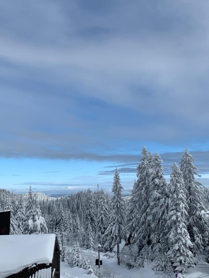 Forresto Apartmani Jahorina Dış mekan fotoğraf